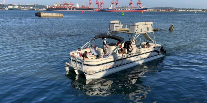 Durban: Pontoon Boat Harbor Cruise - Key Points