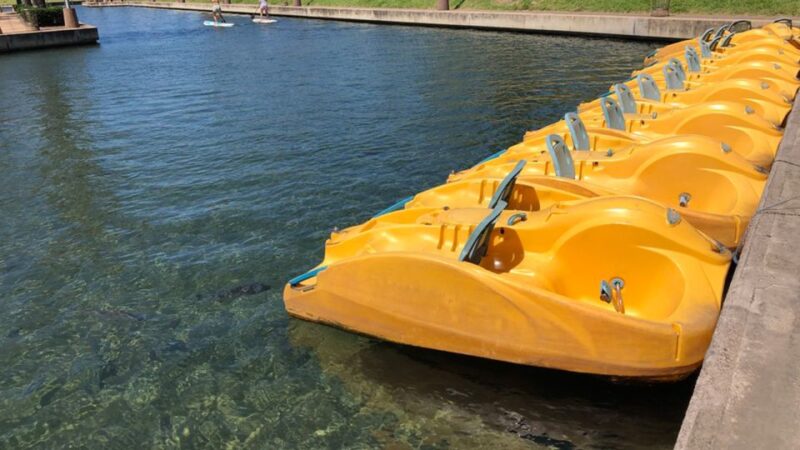 Durban: Waterfront Canals Pedal Boat Rental - Pedal Boat Highlights