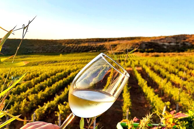 Durres Local Wine Food Tasting & Wine Tour Experience - Good To Know