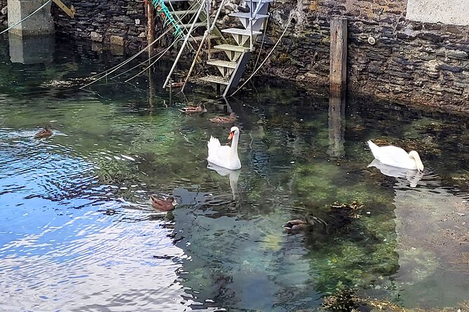 Dusk Walking Tour of Fowey - Additional Information