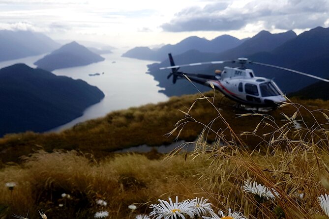 Dusky Sound // Helicopter Scenic Flight - Meeting Location