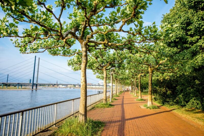 Dusseldorf: Private History Tour With a Local Expert - Preparation and Requirements