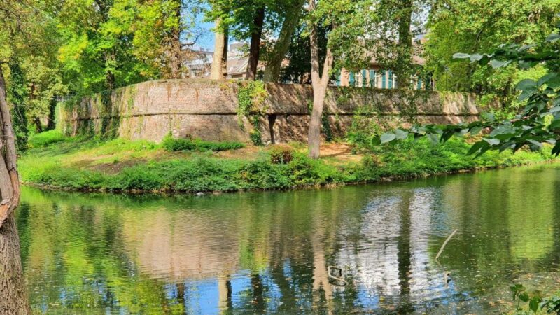 Düsseldorf: Self-Guided Walk Along River Düsseldorf to Old Town - Requirements and Access