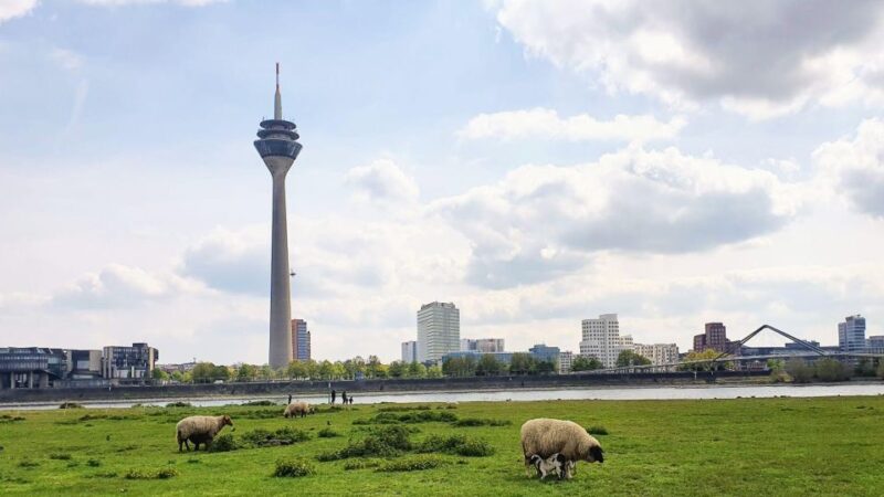 Düsseldorf: Self-Guided Walk of Most Pointless City Facts - Experience Highlights