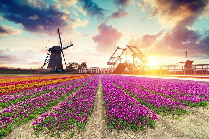 Dutch Countryside and Tulip Fields Tour - Inclusions