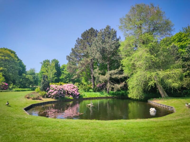 Dutch Delights: A Family Journey Through The Hague - Itinerary Highlights