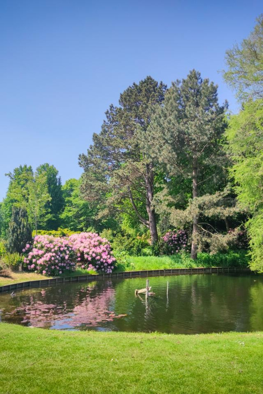 Dutch Delights: A Family Journey Through The Hague - Educational Experience