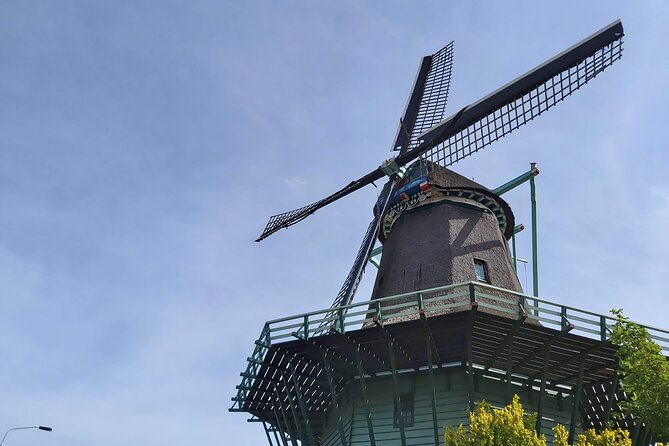 Dutch Windmills & Polder Walking Tour - Customer Reviews