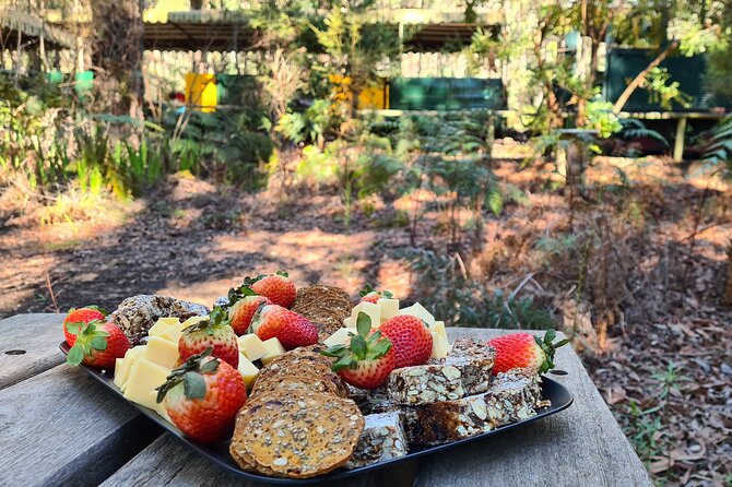 Dwellingup Trains, Trails & Woodfired Delights Full Day Tour - Guided Hike Through the Forest
