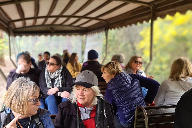 Dwellingup Trains, Trails & Woodfired Delights Full Day Tour - Train Ride Through the Forest