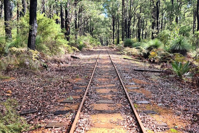 Dwellingup Trains, Trails & Woodfired Delights Full Day Tour - Delicious and Nutritious Dining