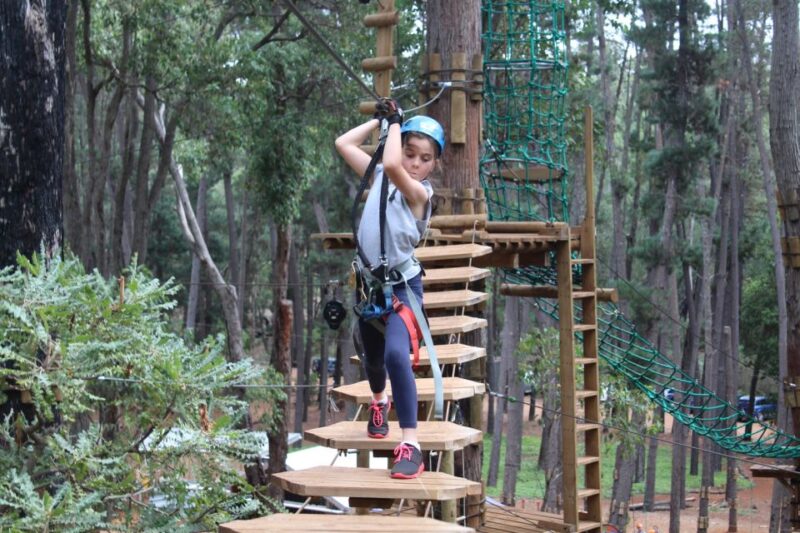 Dwellingup: Tree Ropes Course - Key Points