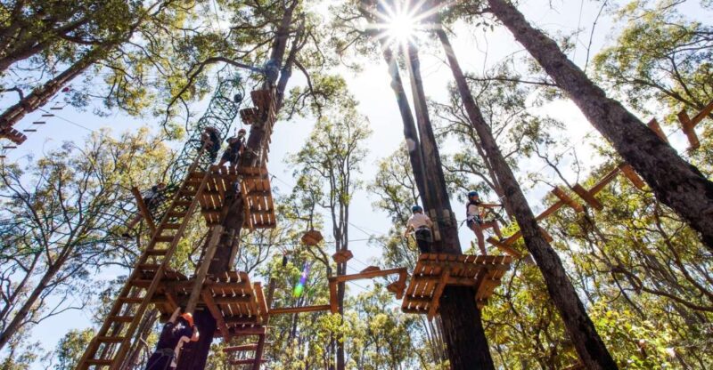 Dwellingup: Tree Ropes Course - What to Expect