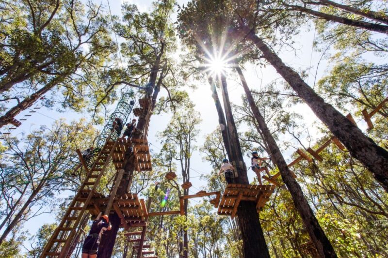 Dwellingup: Tree Ropes Course - Important Information