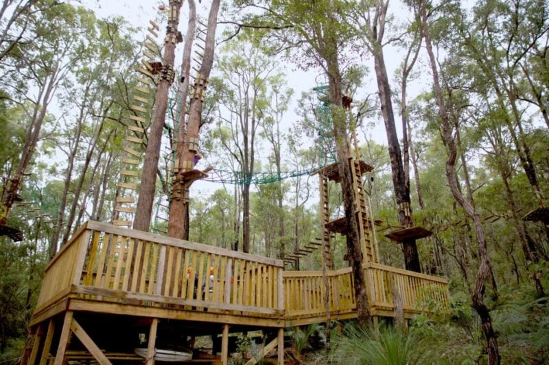 Dwellingup: Tree Ropes Course - Recap