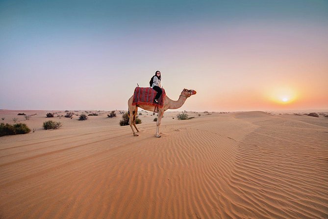 DXB Private Morning Desert Safari With Camel Ride N Sand Boarding - Dune Bashing Experience