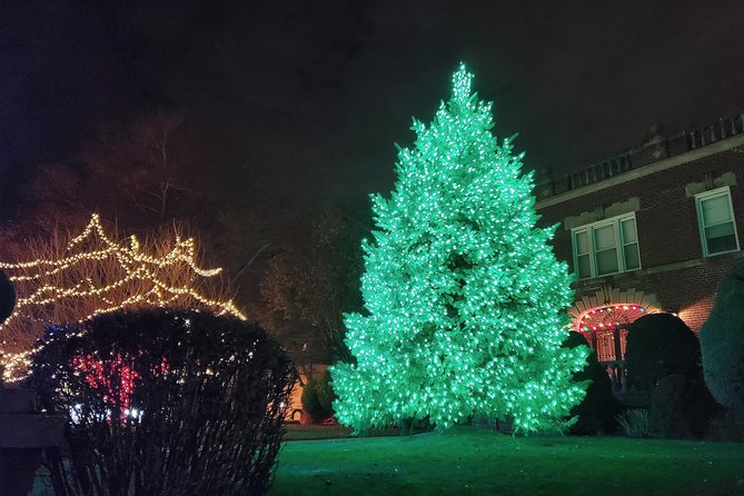 Dyker Heights Christmas Lights Guided Tour - Accessibility Information