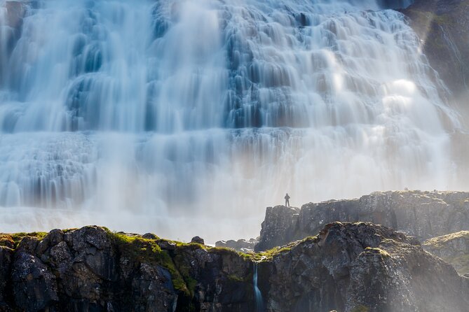 Dynjandi Waterfall & Iceland Farm Visit Tour - Pickup and Drop-off