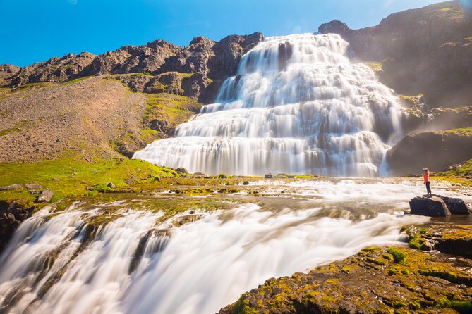 Dynjandi Waterfall & Iceland Farm Visit Tour - Farm Visit