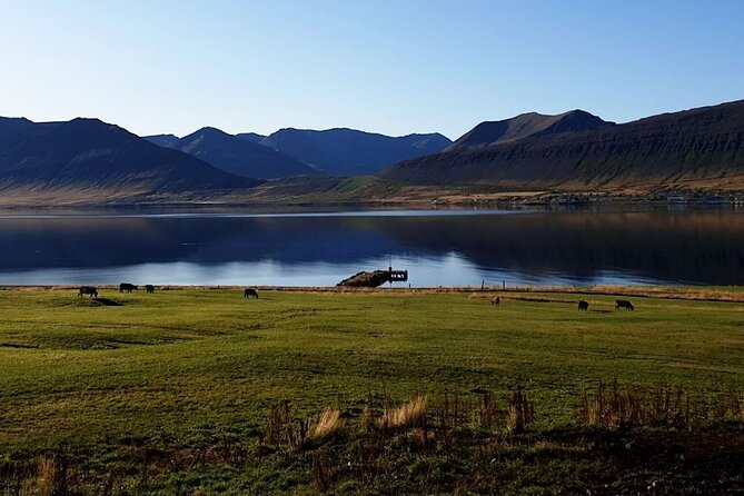 Dynjandi Waterfall & Iceland Farm Visit Tour - Scenic Drive