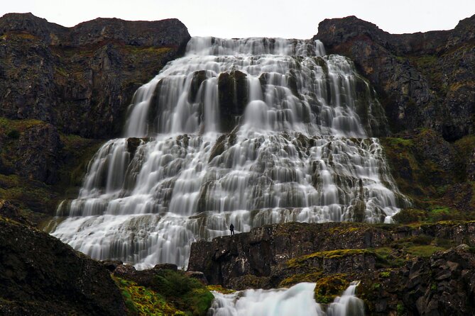 Dynjandi Waterfall & Iceland Farm Visit Tour - Stunning Vistas