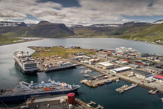 Dynjandi Waterfall & Iceland Farm Visit Tour - Icelandic Hospitality