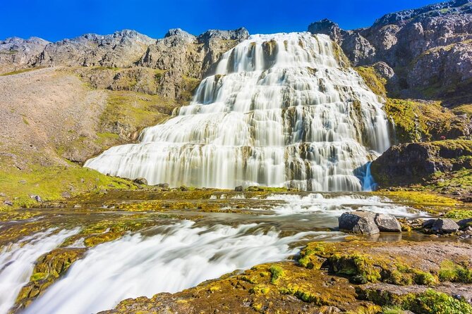 Dynjandi Waterfall & Iceland Farm Visit Tour - Customer Reviews