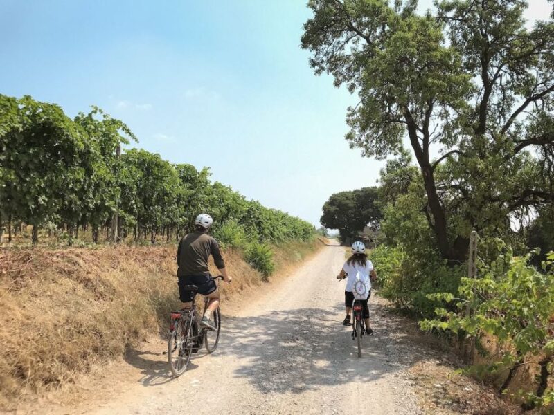 E-Bike Adventure Among Villages and Medieval Castles - Aperitif and Local Shop Visits