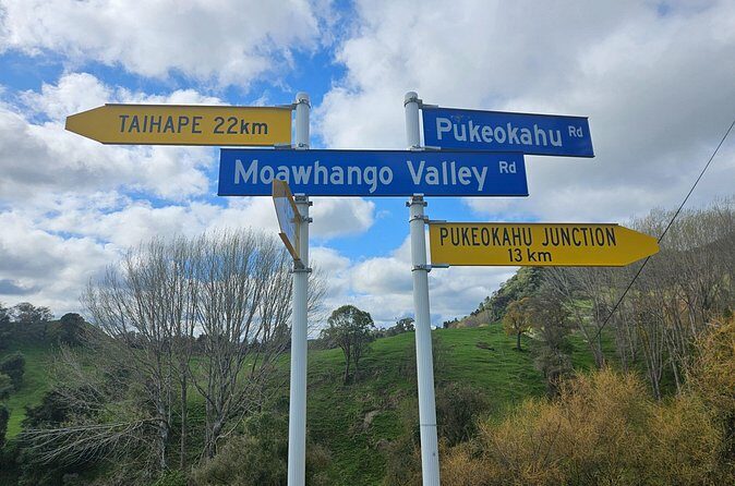 E Bike Adventure on The Laughing Moa Loop - Authentic Experiences and Traveler Feedback