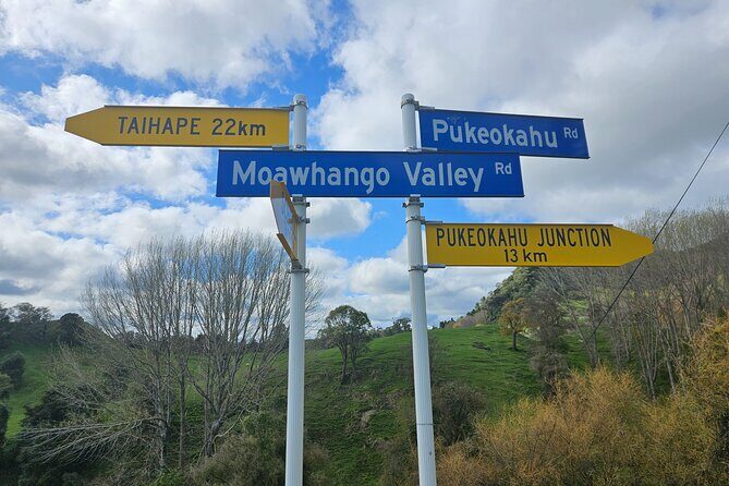 E Bike Adventure on The Laughing Moa Loop - The Sum Up: Who Will Love This Tour?