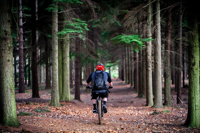 E-Bike Adventure Rentals - Trail Network