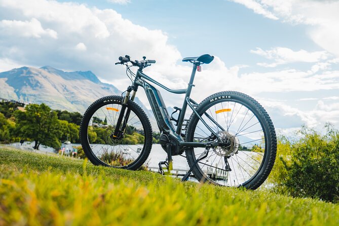 E-Bike Adventures Through the Wineries in Gibbston - Service and Experience