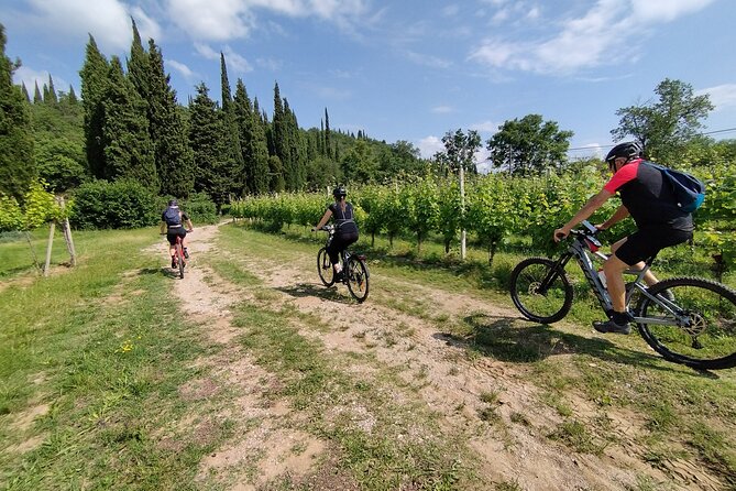 E-Bike and Tour From Lonato Del Garda With Wine Tasting - Product Code