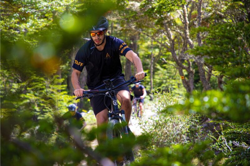 E-BIKE Beagle Viewpoint - Key Points