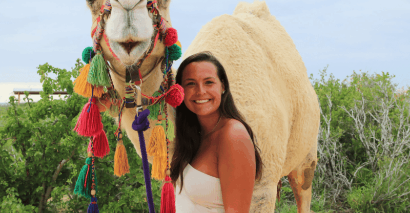 E-Bike & Camel Adventure With Mexican Lunch - Key Points