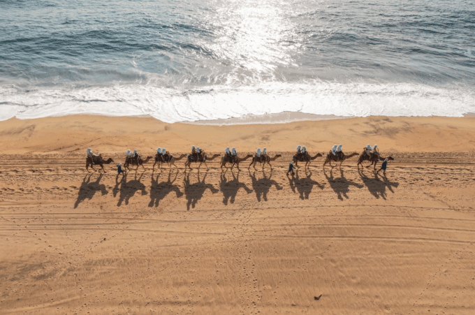 E-Bike & Camel Adventure With Mexican Lunch - Frequently Asked Questions