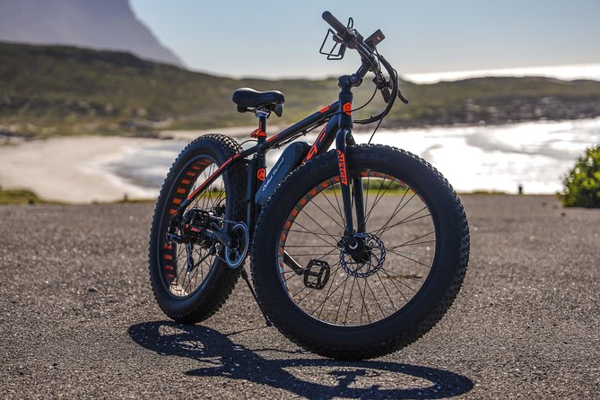 E-Bike Cape Peninsula Tour - Inclusions