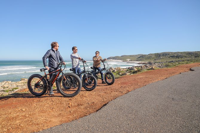 E-Bike Cape Peninsula Tour - Customer Feedback
