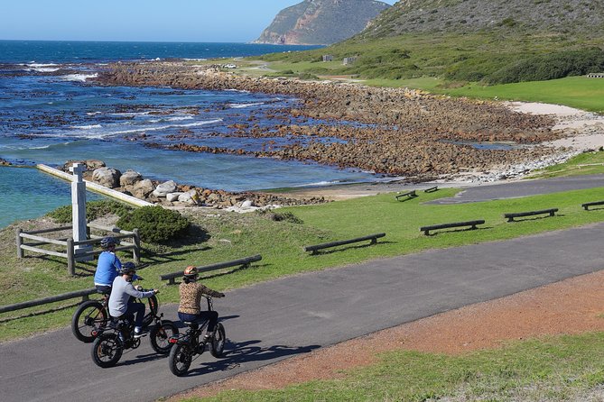 E-Bike Cape Peninsula Tour - Exploring Cape Peninsula