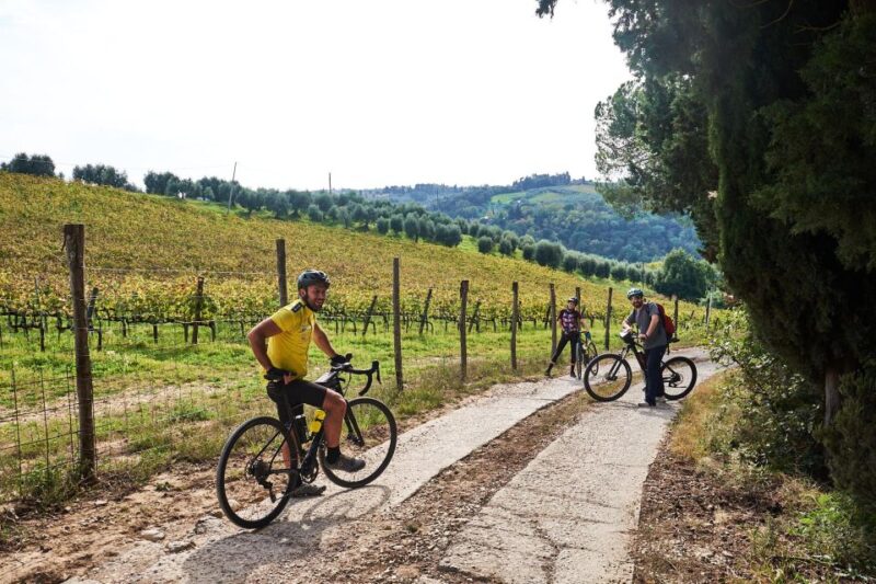 E-Bike Chianti Classico and Tuscany Tour With Lunch at Farm - Key Points