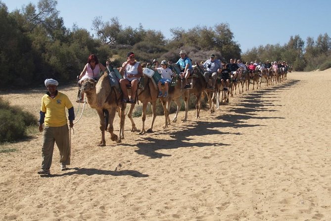 E-Bike City Tour Optional Camel Safari on the Maspalomas Dunes - Inclusions