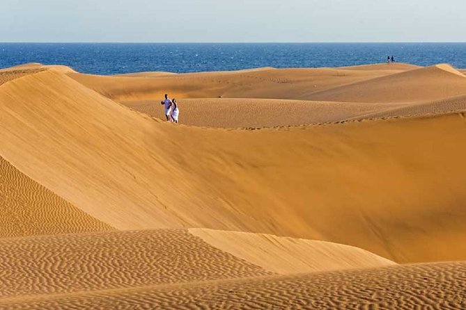 E-Bike City Tour Optional Camel Safari on the Maspalomas Dunes - Reviews