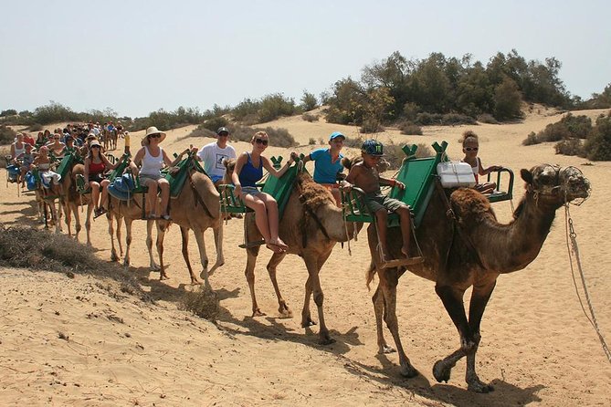 E-Bike City Tour Optional Camel Safari on the Maspalomas Dunes - Meeting Point and Start Time