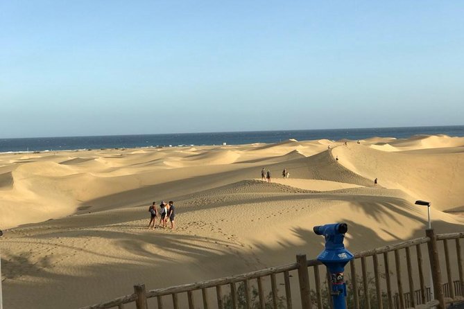 E-Bike City Tour Optional Camel Safari on the Maspalomas Dunes - Camel Safari Option