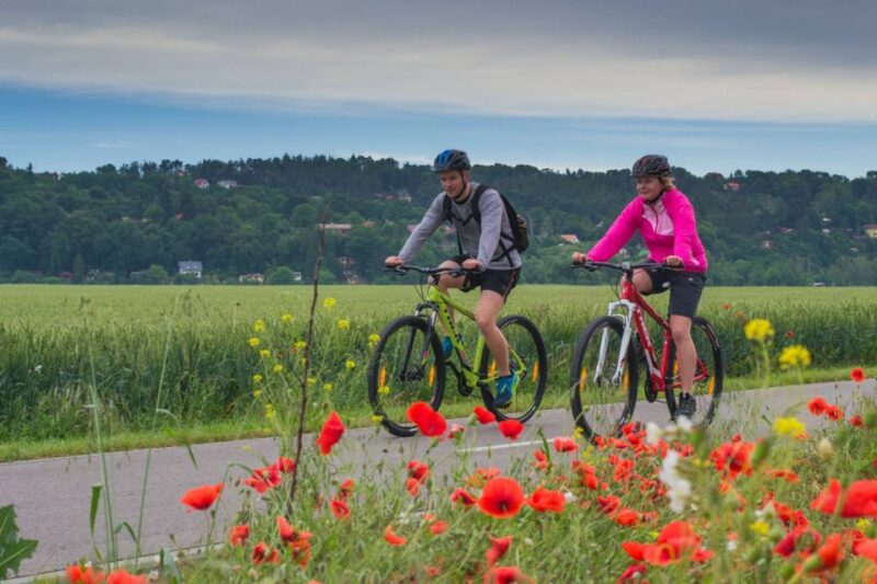 E-Bike Day Trip: Visit a Roman Castle and Taste Craft Beer - Itinerary Details