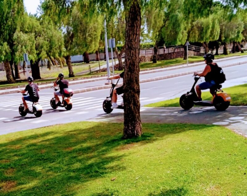 E-Bike Family Tour: Sightseeing Maspalomas Playa Del Ingles - Small Group Size Limit