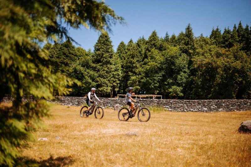 E-Bike Guided Tour - Belle Vue Mountain Biking - Experience and Itinerary