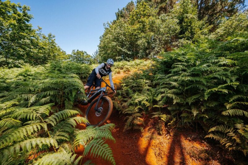 E-Bike Guided Tour - Belle Vue Mountain Biking - Meeting Point and Recommendations