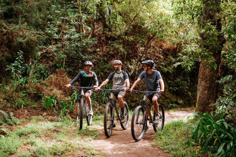 E-Bike Guided Tour - Mountain Biking Experience - Tour Itinerary