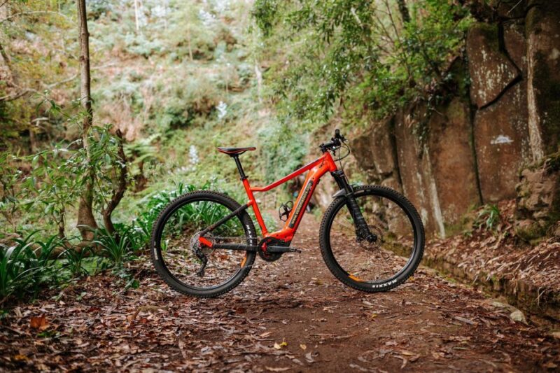 E-Bike Guided Tour - Mountain Biking Experience - Tour Inclusions